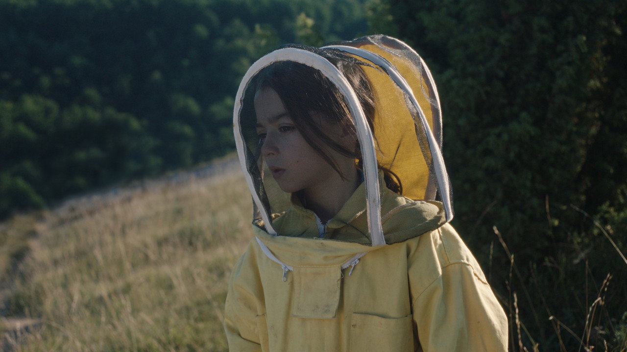 20,000 Species of Bees (2023) backdrop artwork