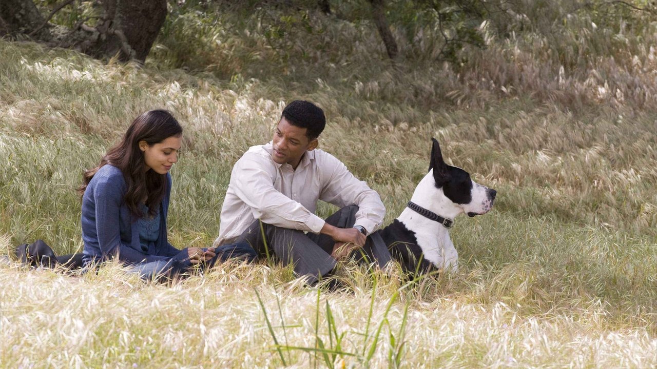 Seven Pounds (2008) backdrop artwork