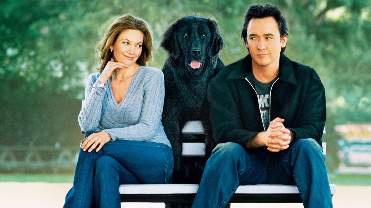 Must Love Dogs (2005) backdrop artwork