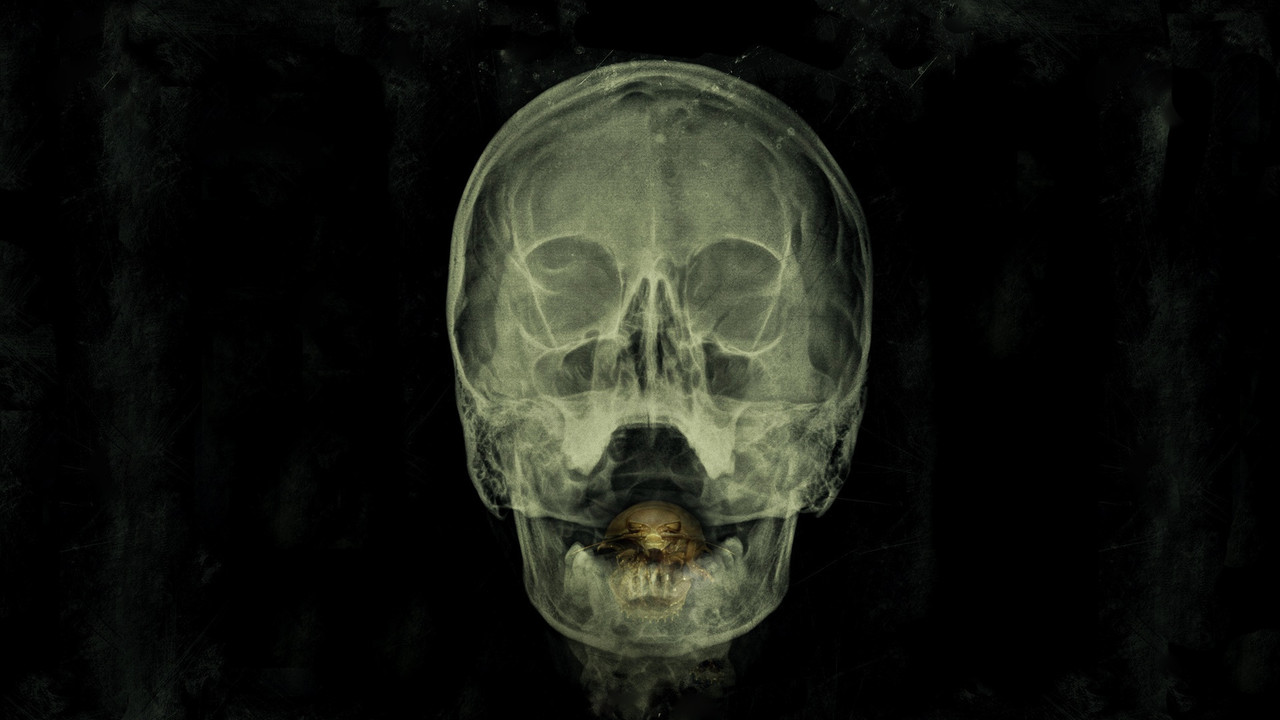 The Bay (2012) backdrop artwork