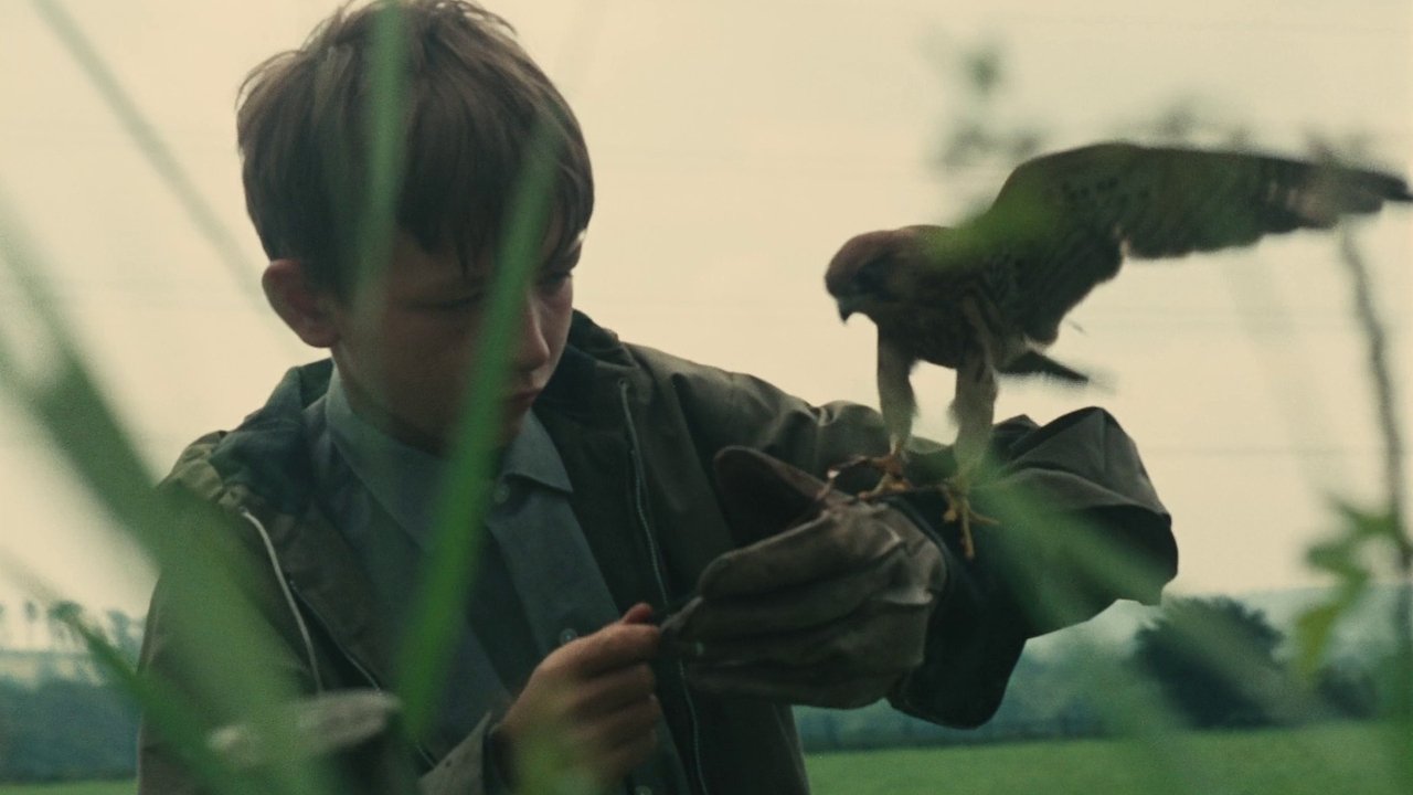 Kes (1970) backdrop artwork