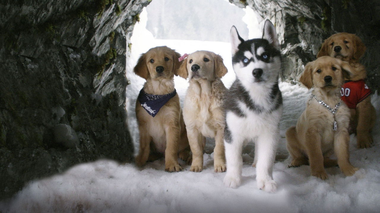 Snow Buddies (2008) backdrop artwork