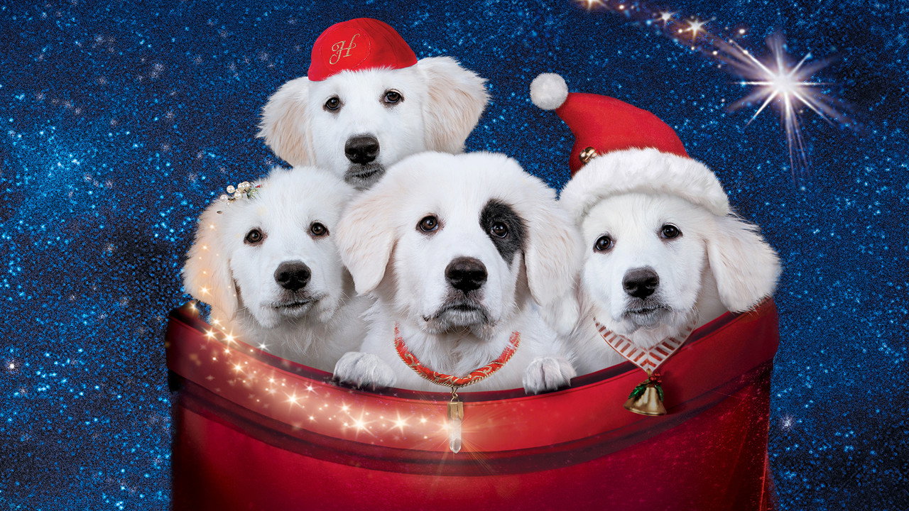 Santa Paws 2: The Santa Pups (2012) backdrop artwork