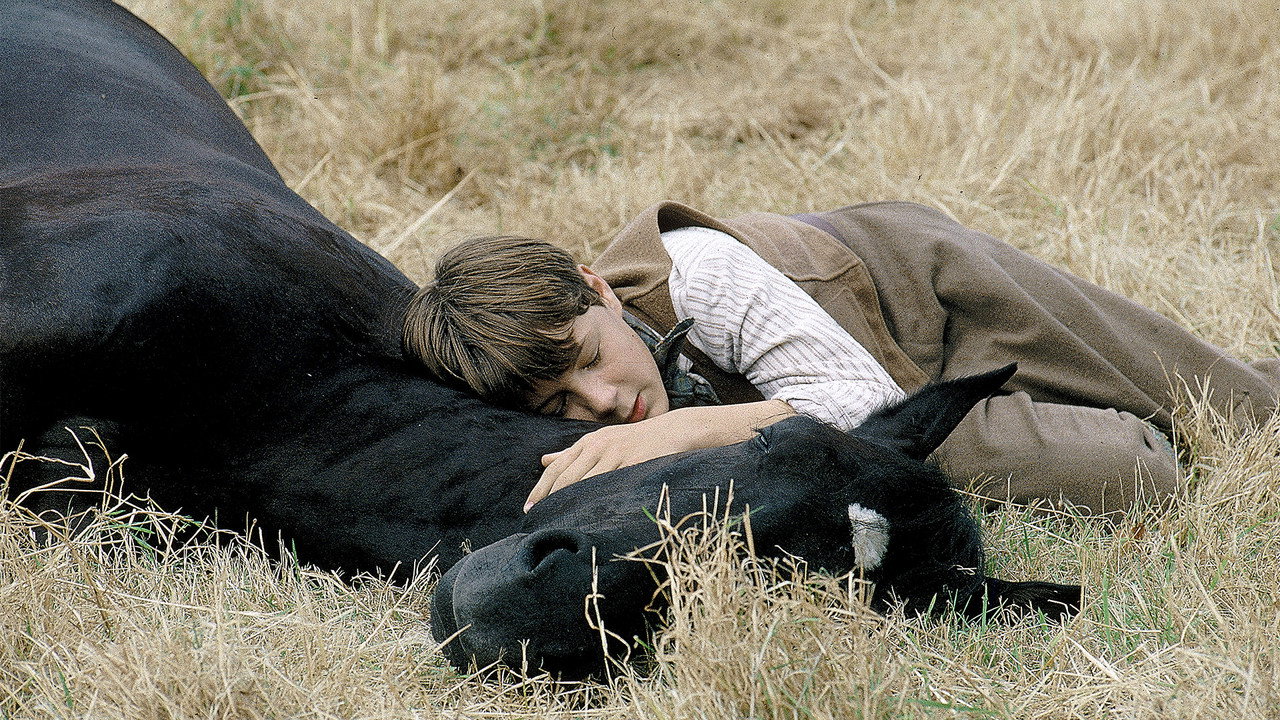 Black Beauty (1994) backdrop artwork