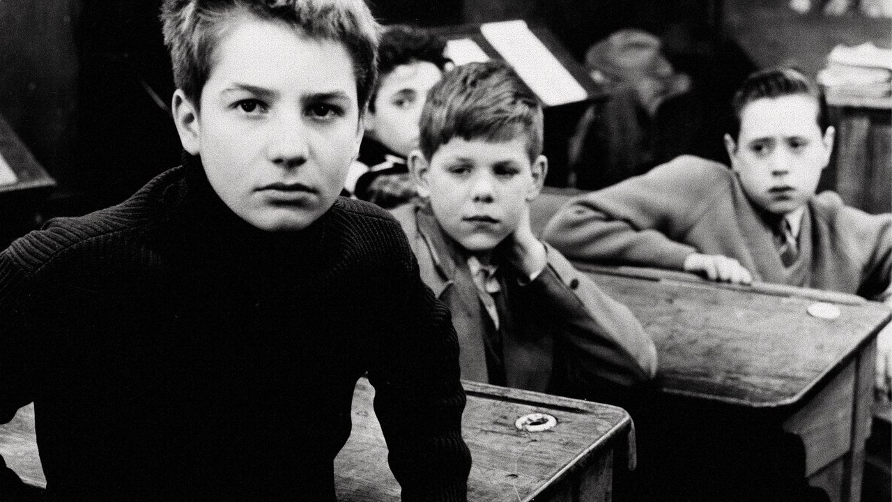 The 400 Blows (1959) backdrop artwork