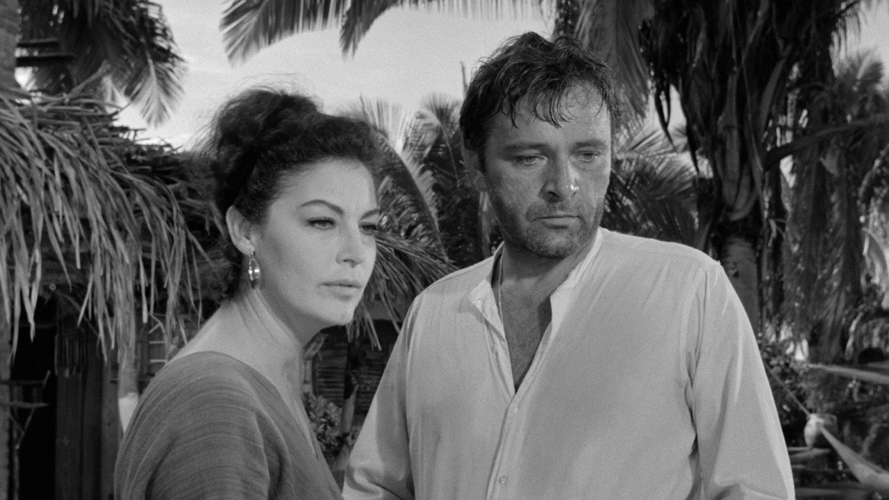 The Night of the Iguana (1964) backdrop artwork