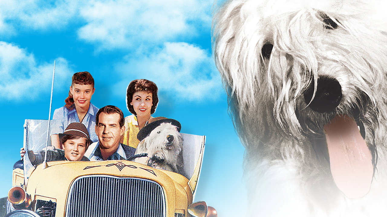 The Shaggy Dog (1959) backdrop artwork