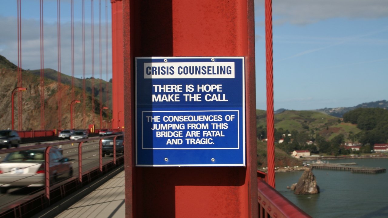 The Bridge (2006) backdrop artwork