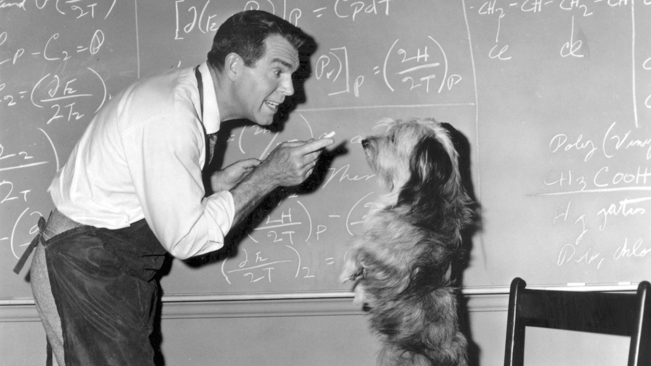 The Absent-Minded Professor (1961) backdrop artwork