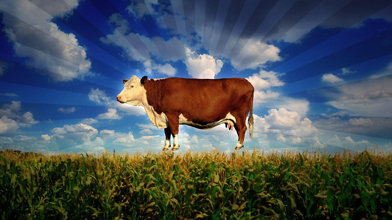 Food, Inc. (2008) backdrop artwork