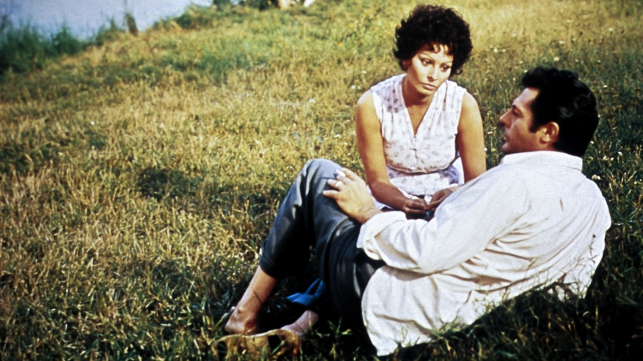 Sunflower (1970) backdrop artwork