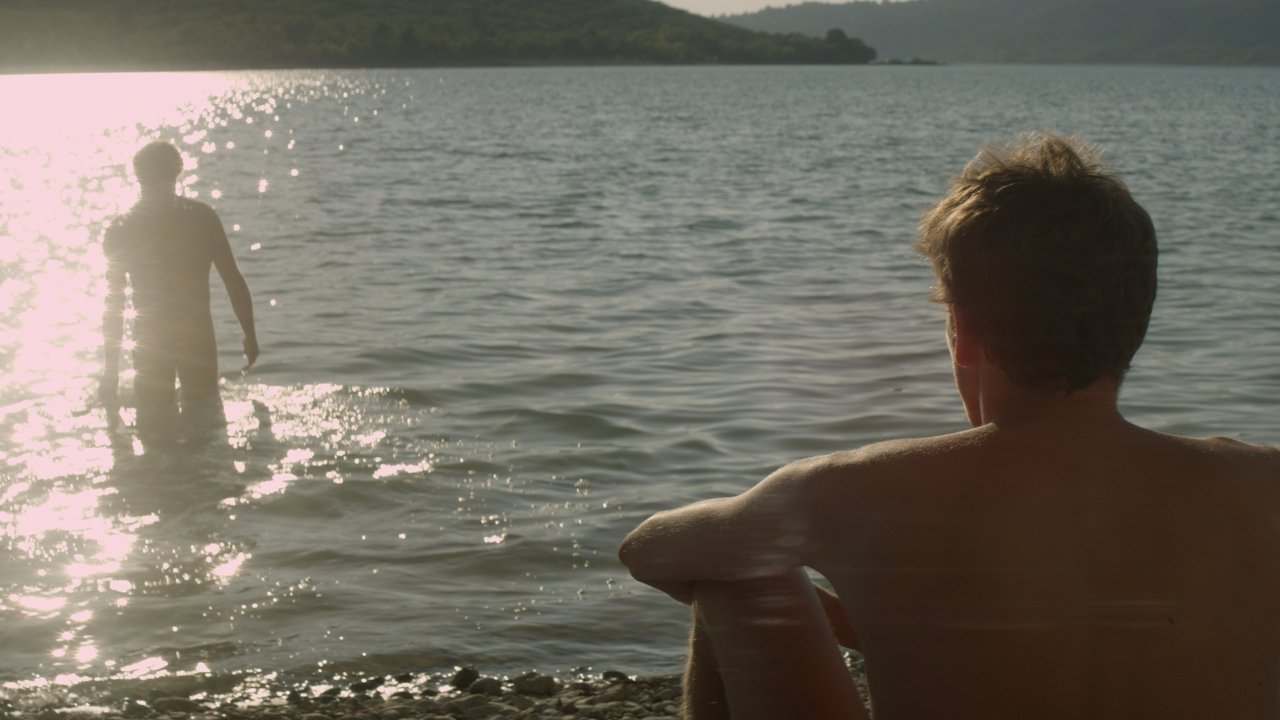 Stranger by the Lake (2013) backdrop artwork