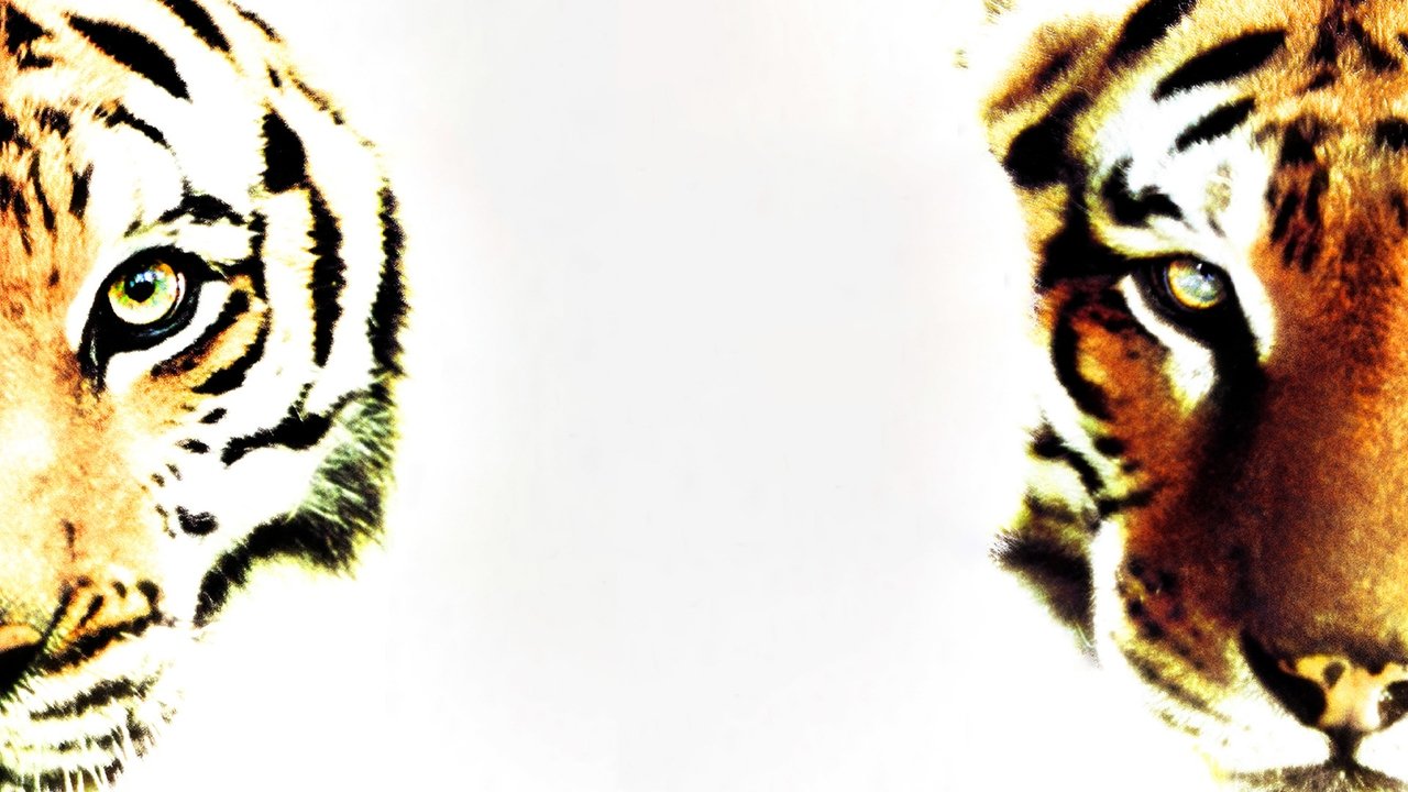 Two Brothers (2004) backdrop artwork