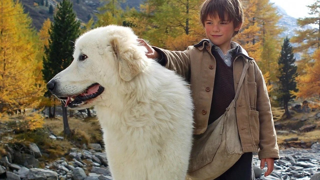 Belle and Sebastian (2013) backdrop artwork