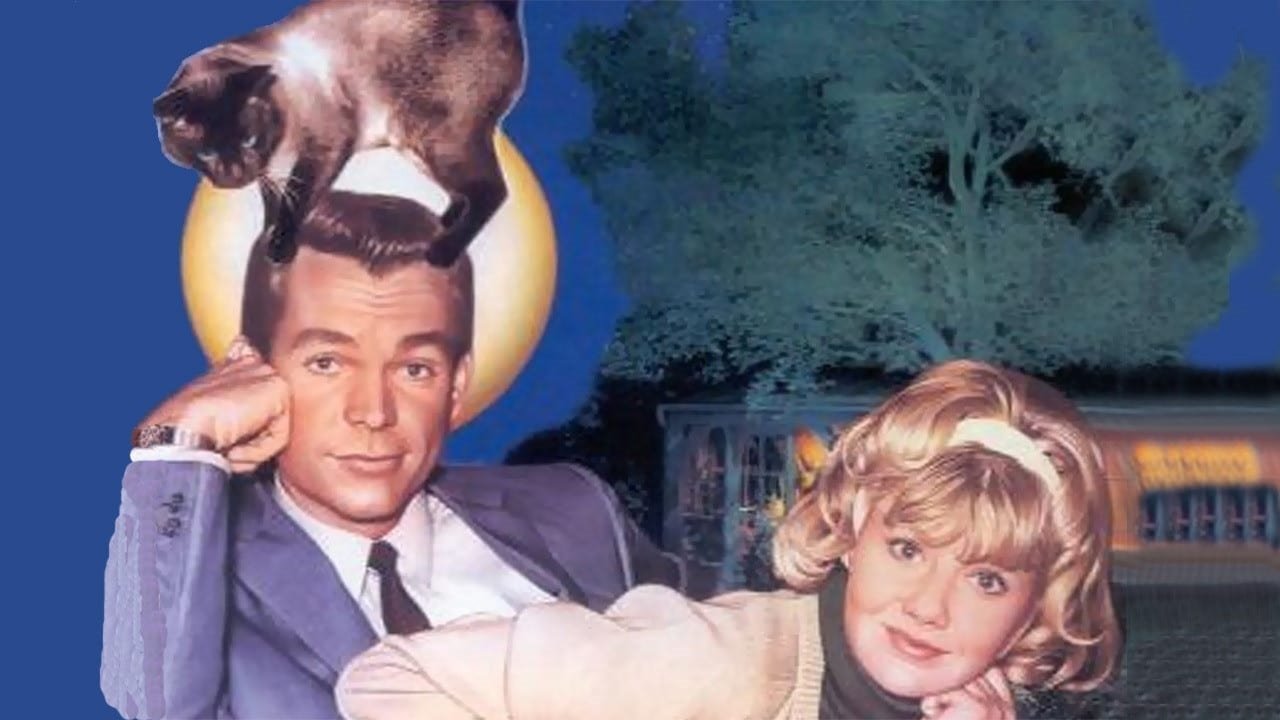 That Darn Cat! (1965) backdrop artwork