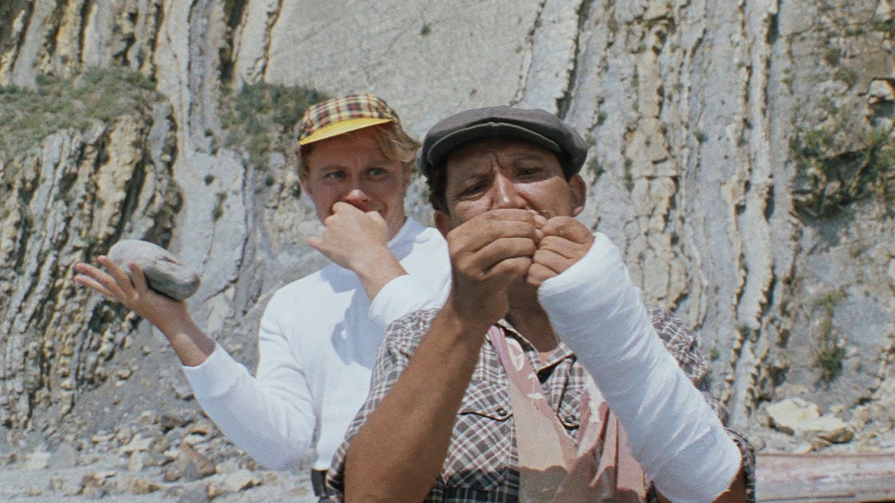 The Diamond Arm (1969) backdrop artwork