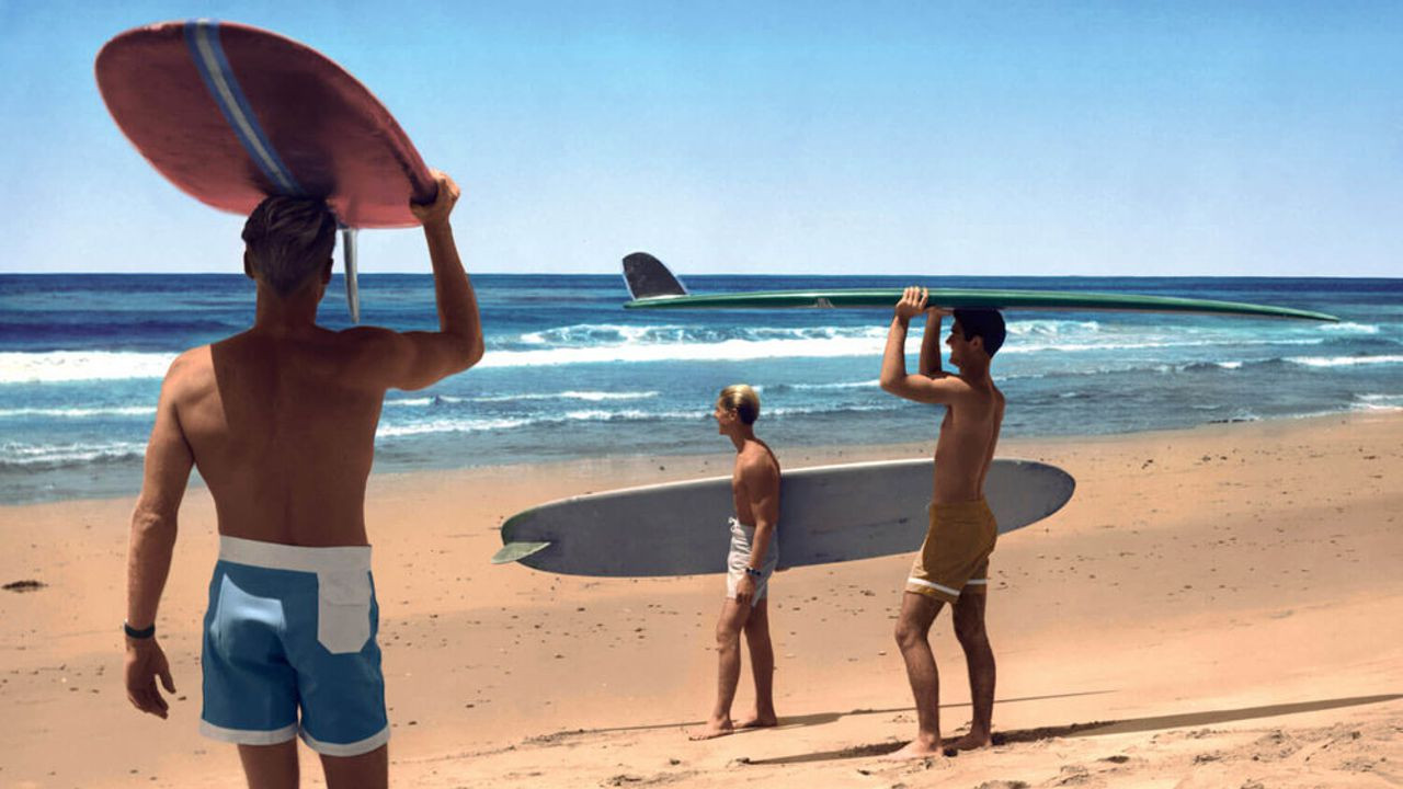The Endless Summer (1966) backdrop artwork