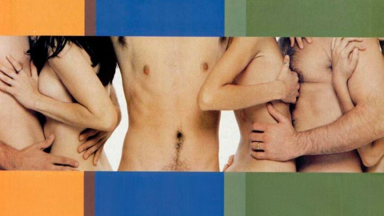 Sex, Shame & Tears (1999) backdrop artwork