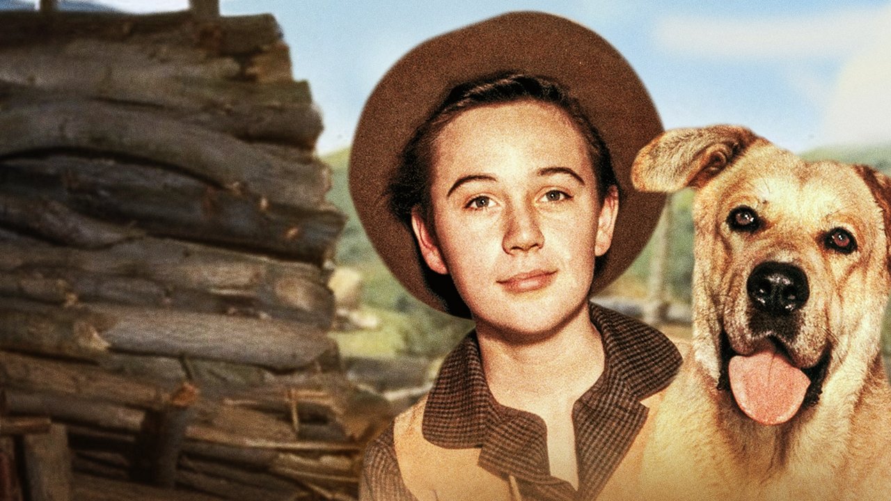Old Yeller (1957) backdrop artwork