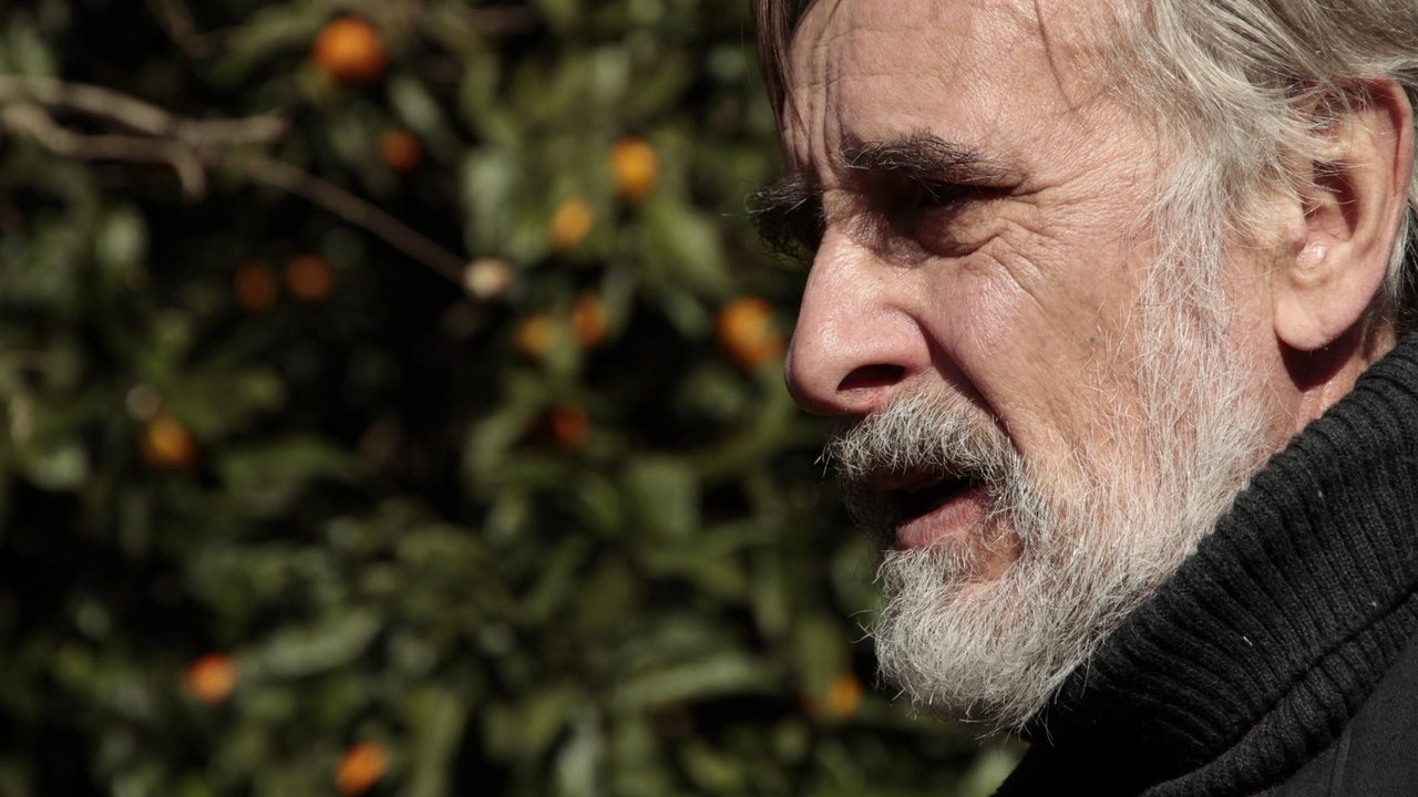 Tangerines (2013) backdrop artwork