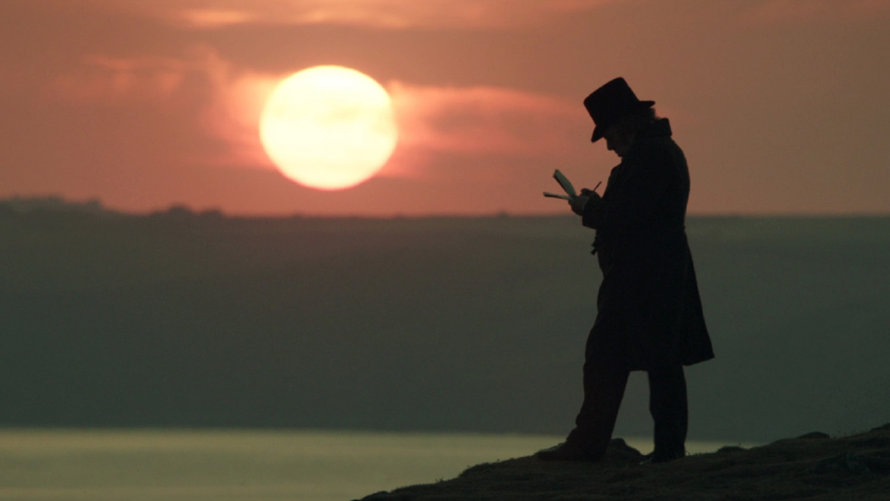 Mr. Turner (2014) backdrop artwork