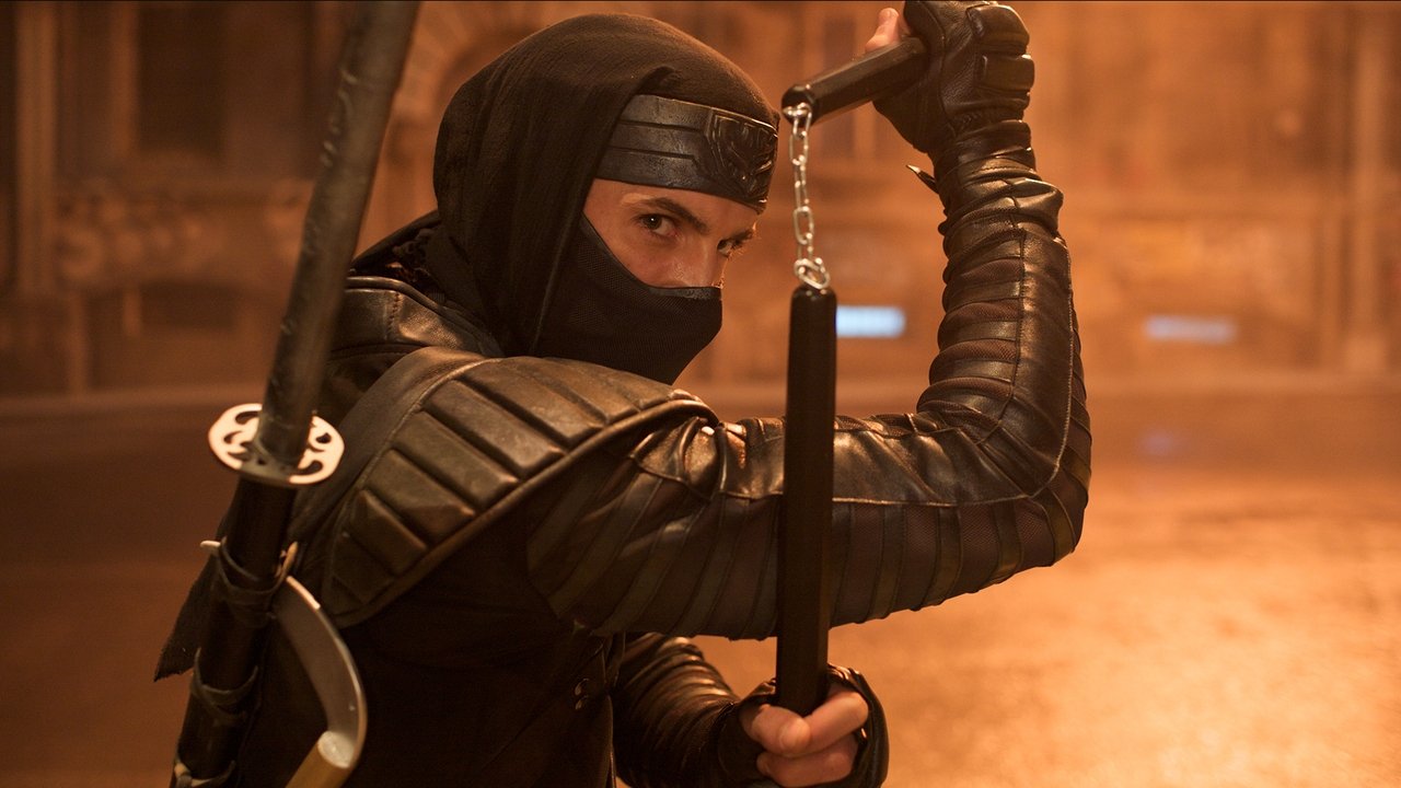 Ninja (2009) backdrop artwork