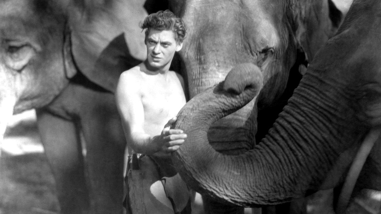 Tarzan the Ape Man (1932) backdrop artwork