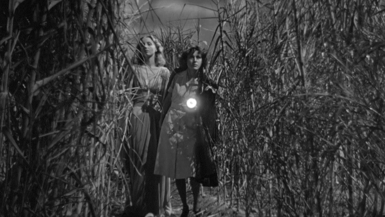 I Walked with a Zombie (1943) backdrop artwork