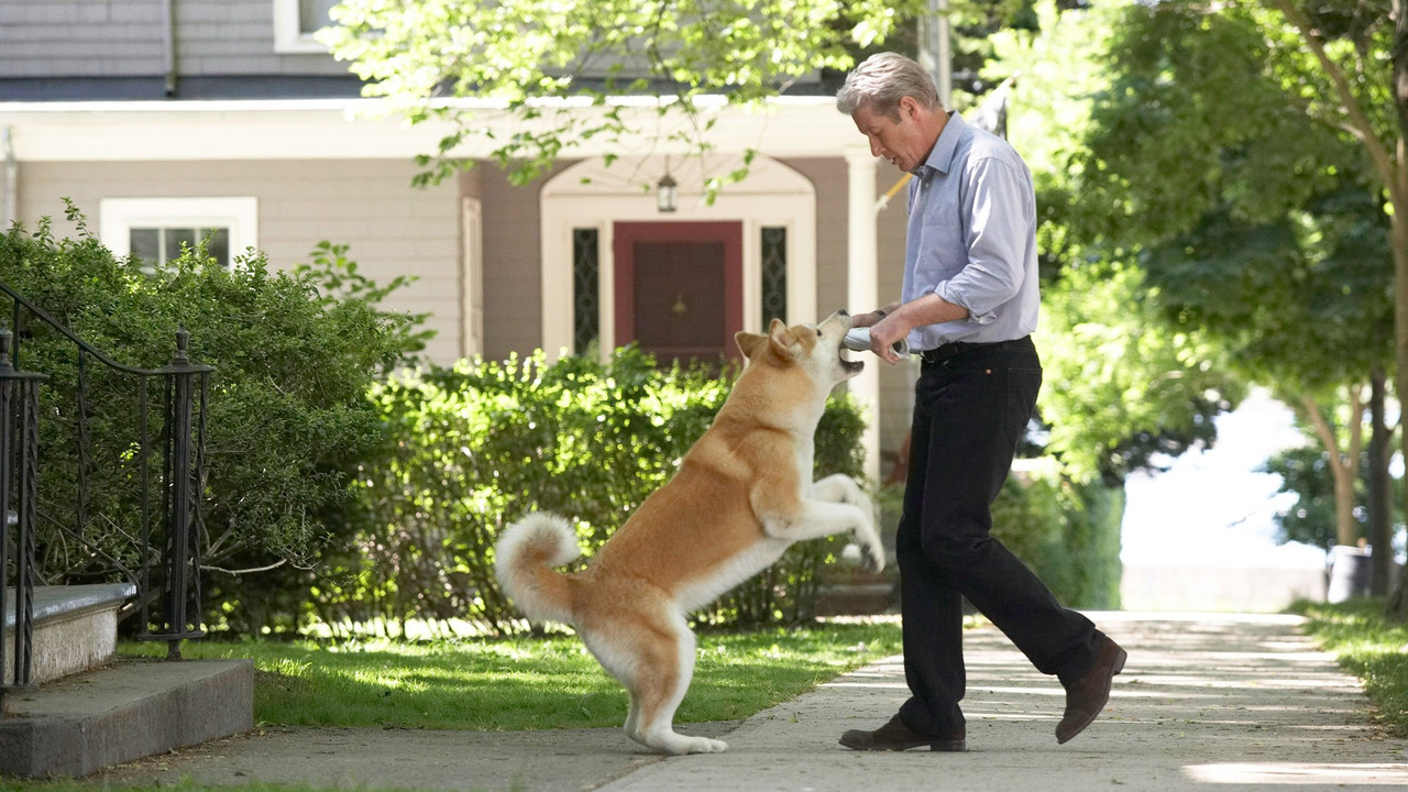 Hachi: A Dog's Tale (2009) backdrop artwork