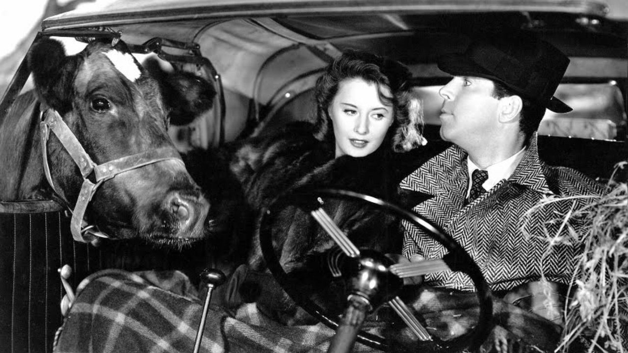 Remember the Night (1940) backdrop artwork