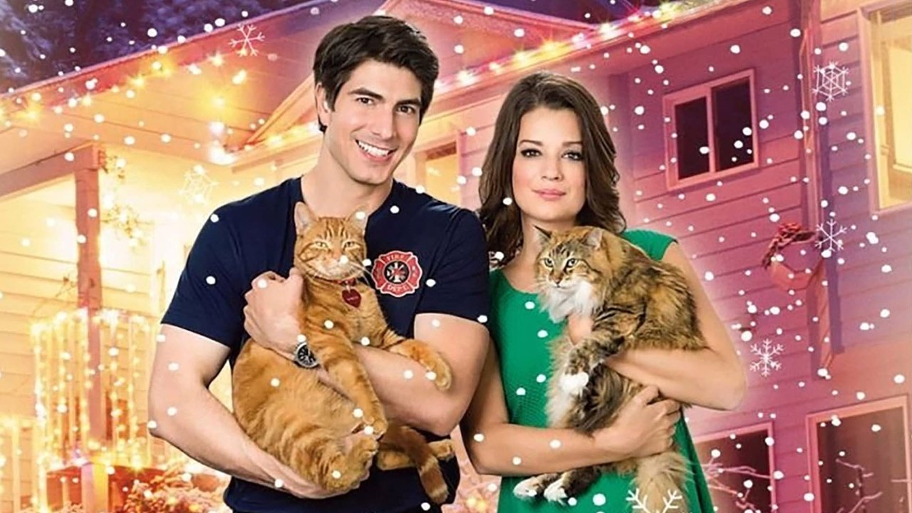 The Nine Lives of Christmas (2014) backdrop artwork