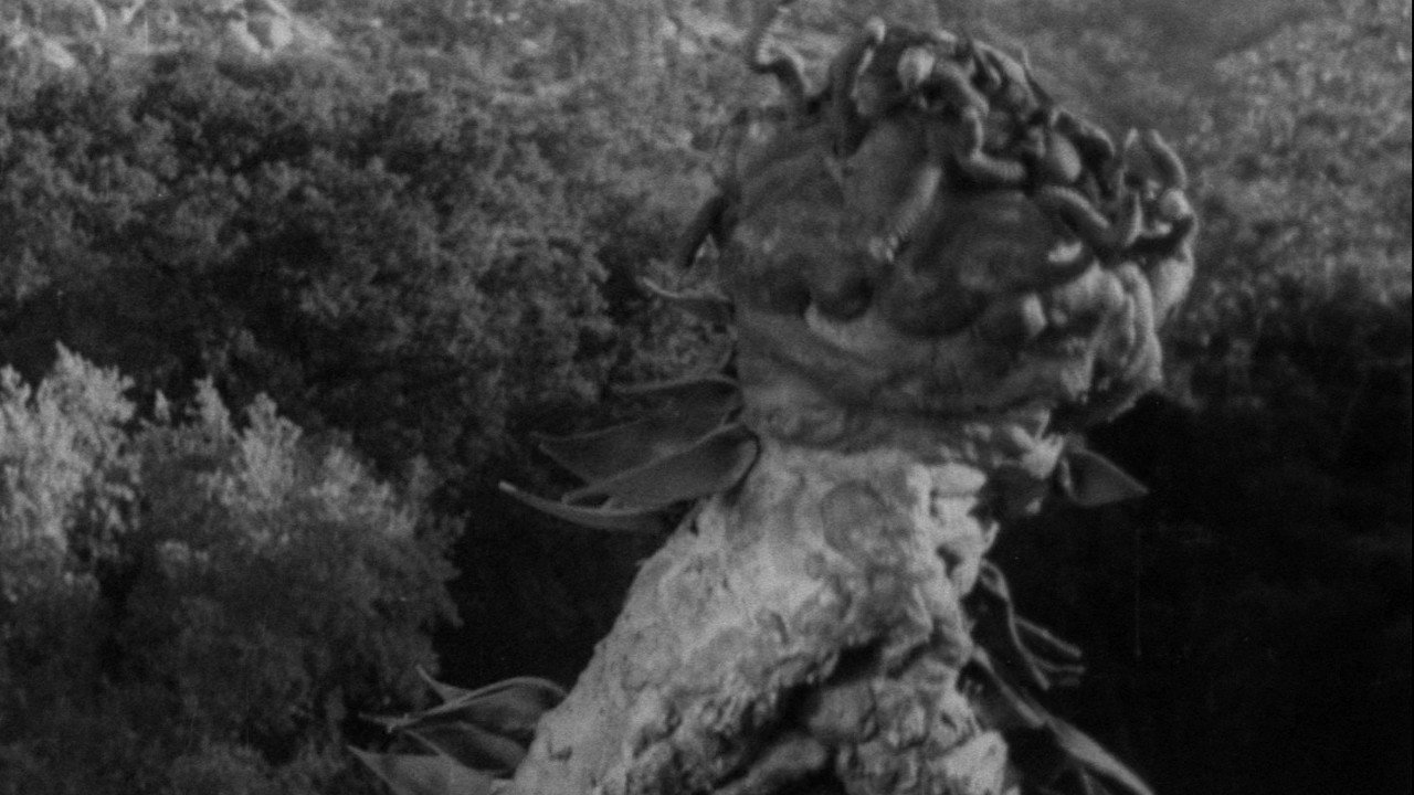 The Creeping Terror (1964) backdrop artwork