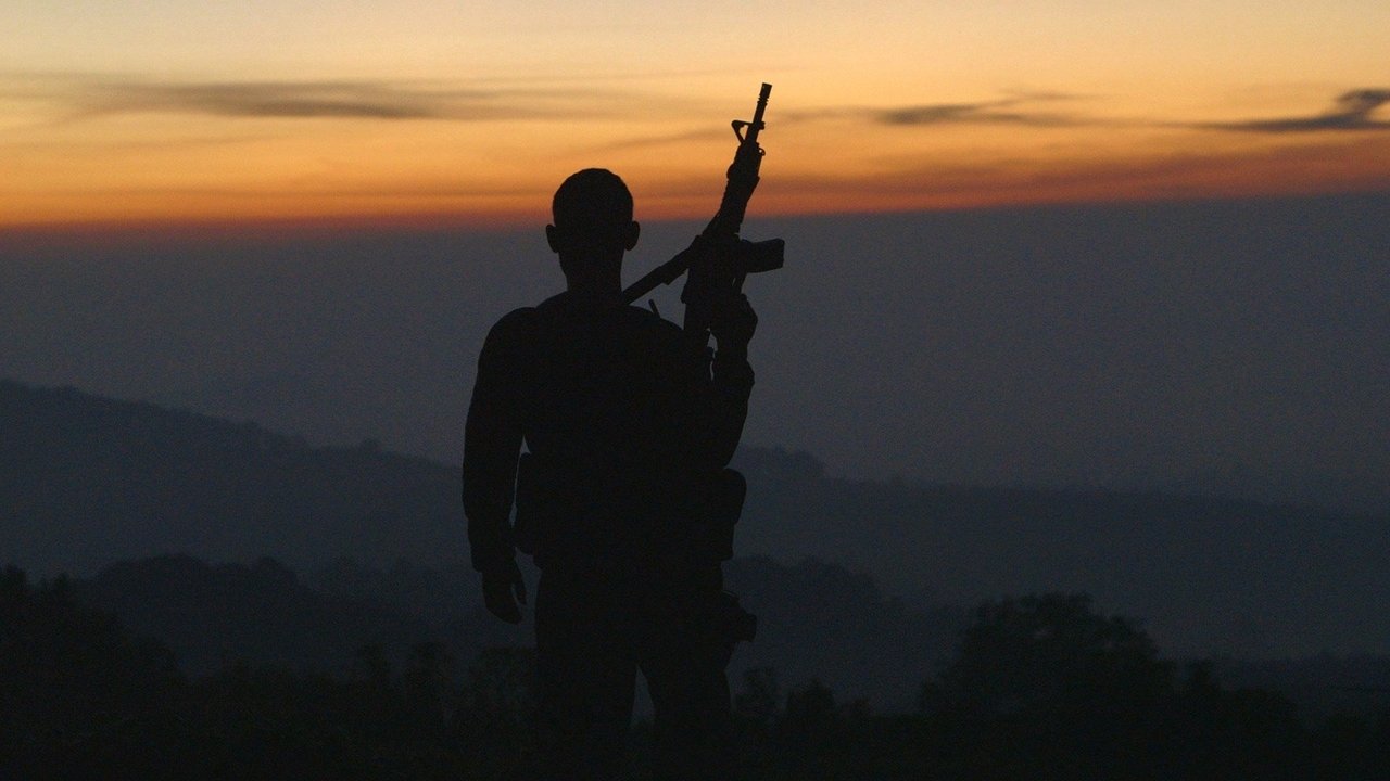 Cartel Land (2015) backdrop artwork