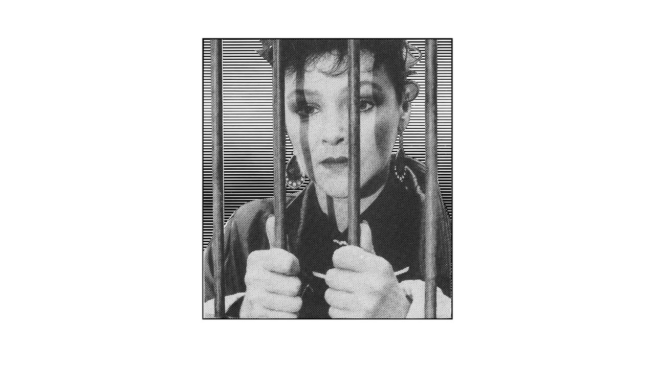 A Zed & Two Noughts (1985) backdrop artwork