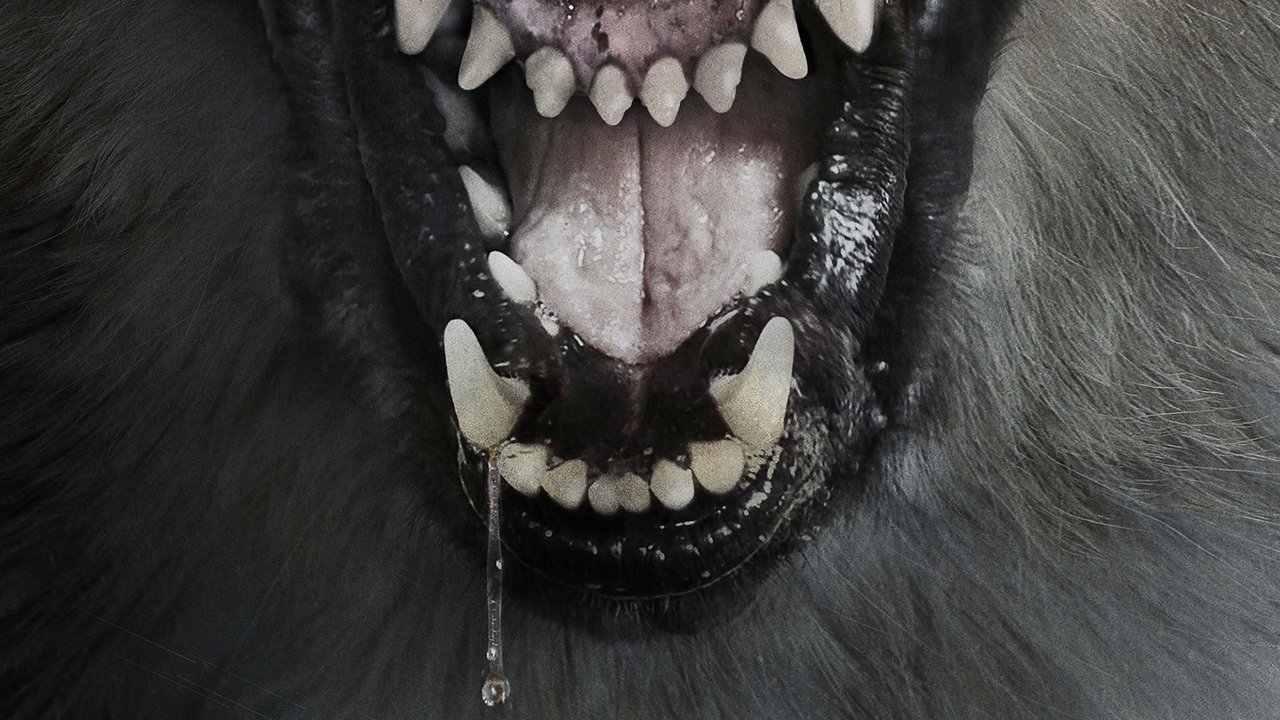 The Pack (2015) backdrop artwork