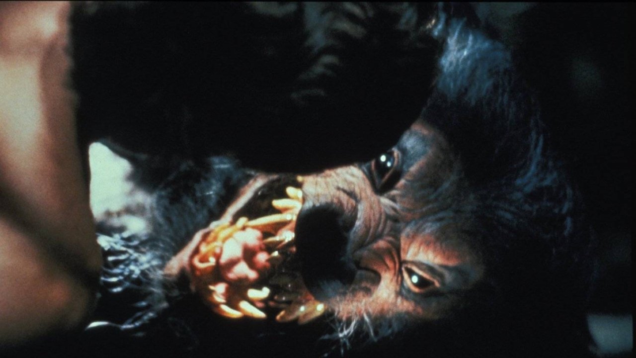 Howling V: The Rebirth (1989) backdrop artwork