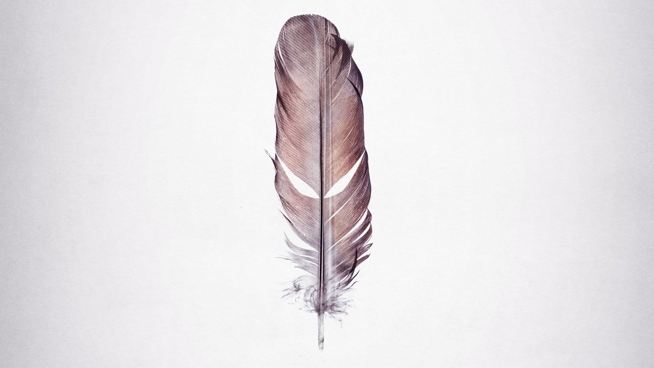 Tickled (2016) backdrop artwork