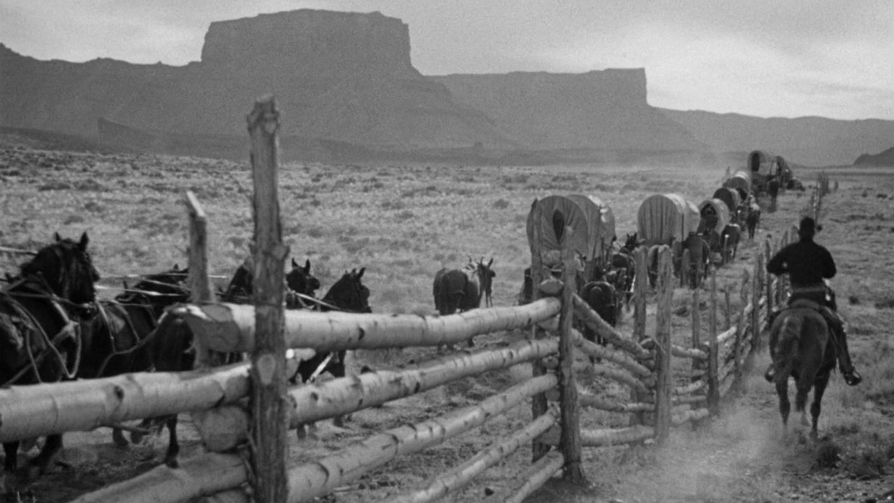 Wagon Master (1950) backdrop artwork