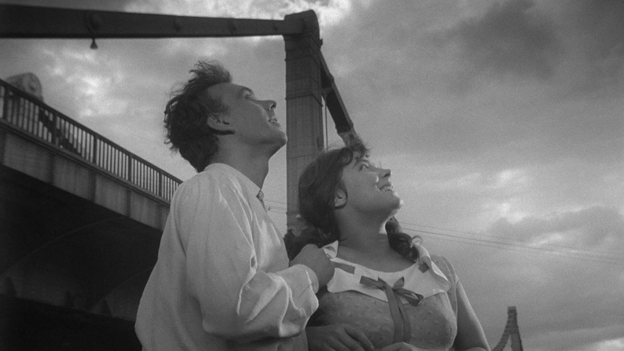 The Cranes Are Flying (1957) backdrop artwork