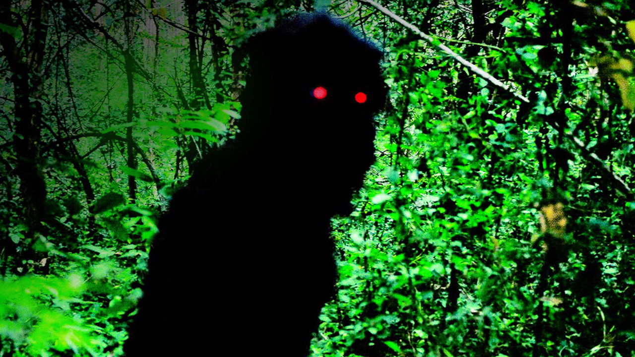 Uncle Boonmee Who Can Recall His Past Lives (2010) backdrop artwork