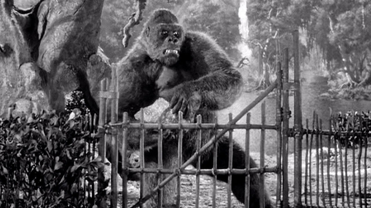 Mighty Joe Young (1949) backdrop artwork