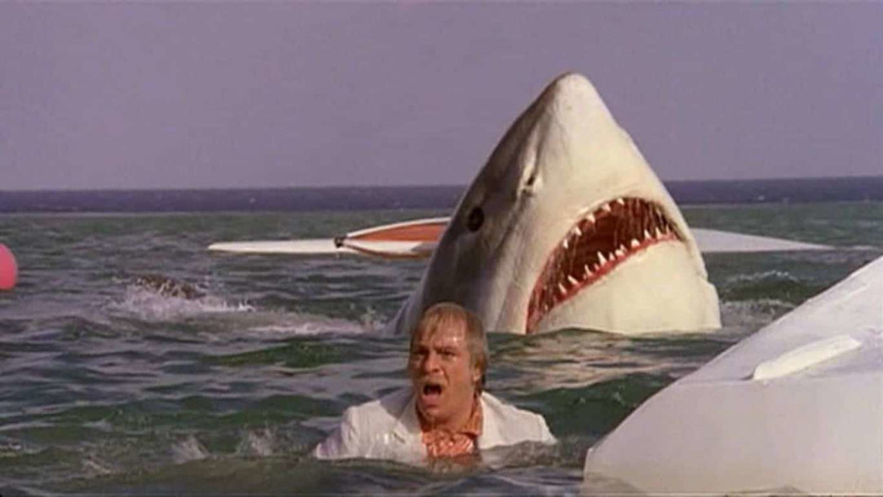The Last Shark (1981) backdrop artwork