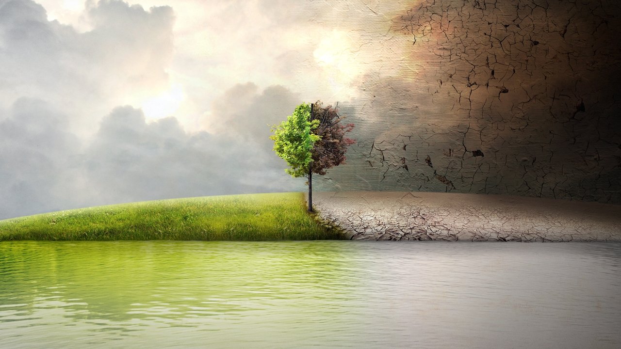 Before the Flood (2016) backdrop artwork