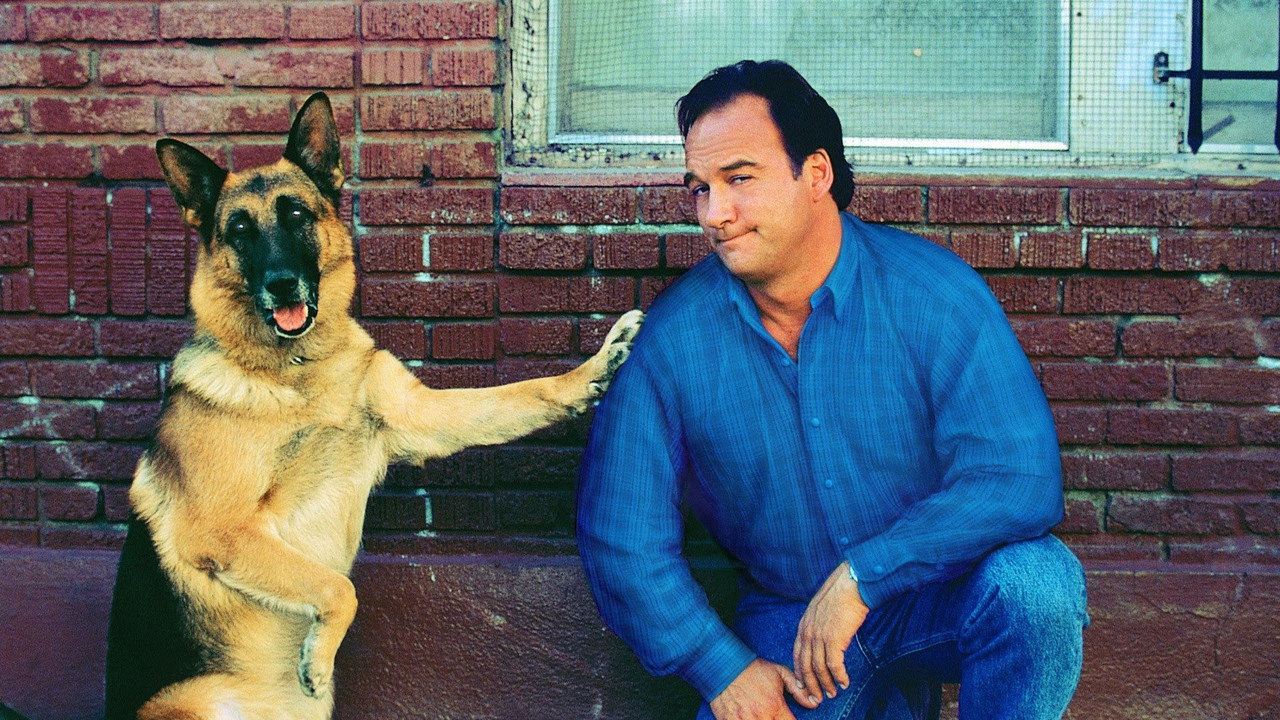 K-911 (2000) backdrop artwork