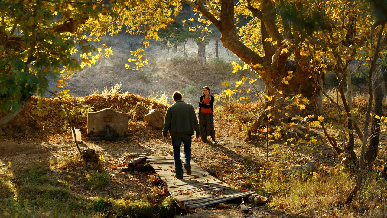 The Wild Pear Tree (2018) backdrop artwork