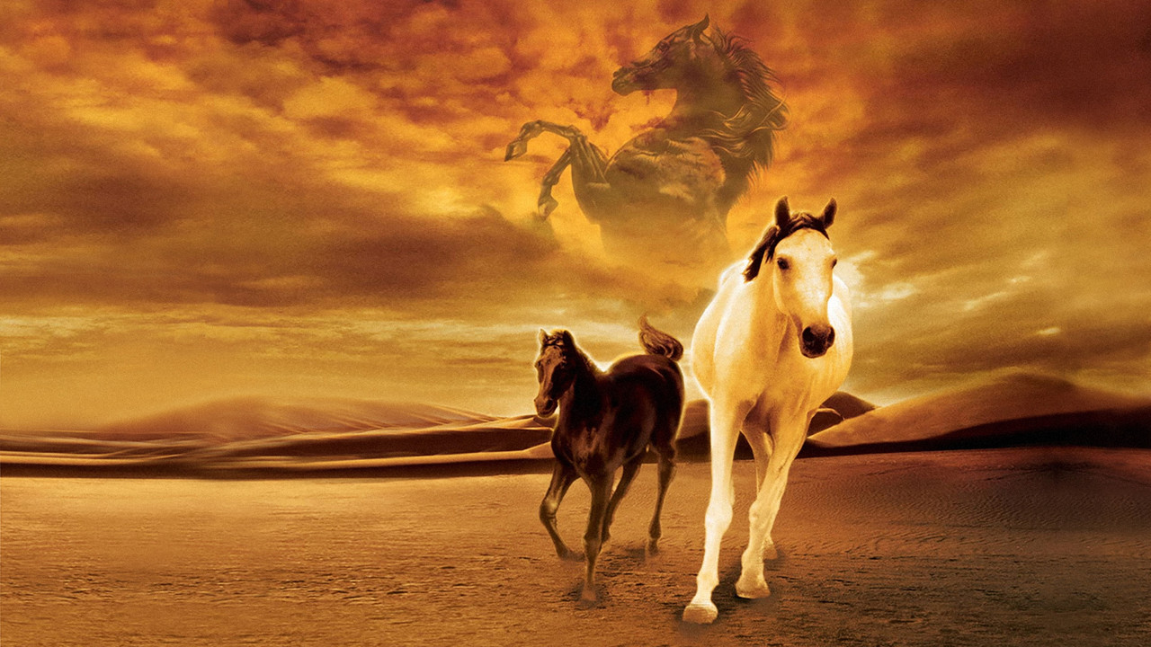Young Black Stallion (2003) backdrop artwork