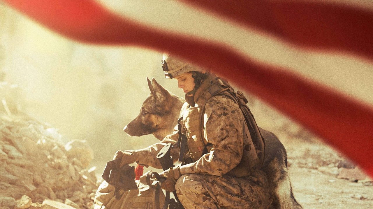Megan Leavey (2017) backdrop artwork