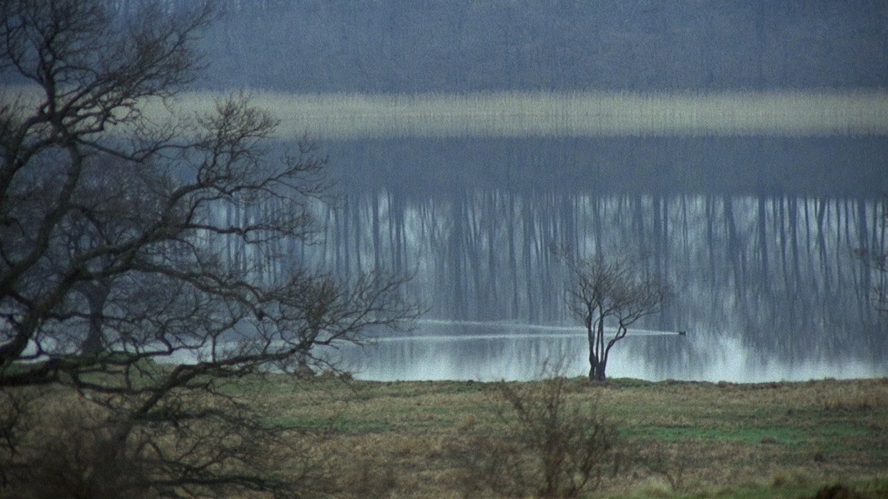 The New Land (1972) backdrop artwork