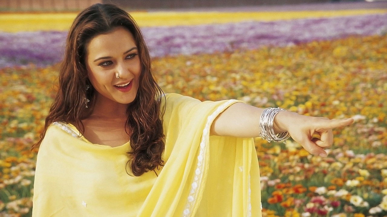 Veer-Zaara (2004) backdrop artwork