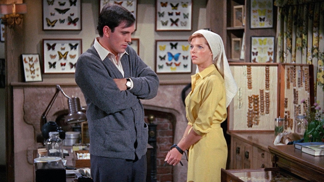 The Collector (1965) backdrop artwork